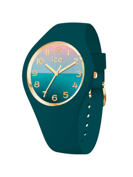 Ice Watch - Montre ICE horizon  - Ref 021354