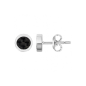 Phebus - Puces d'oreilles acier et carbone - Ref 87-0018