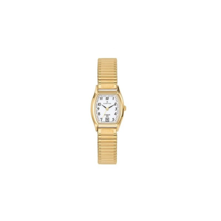 Certus - Montre Femme Quartz Acier 22 mm - Dateur 630605